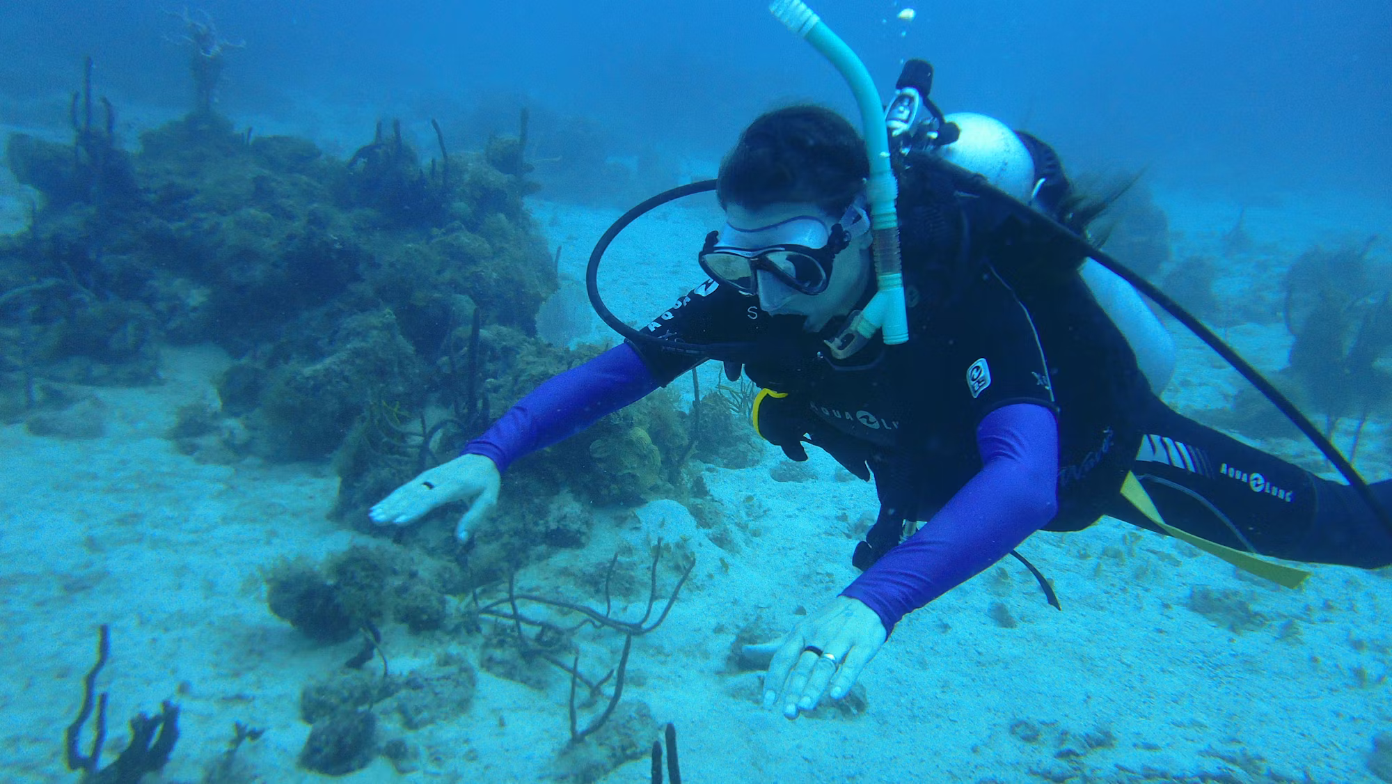 Beneath the Surface: The Diverse World of Diving Adventures